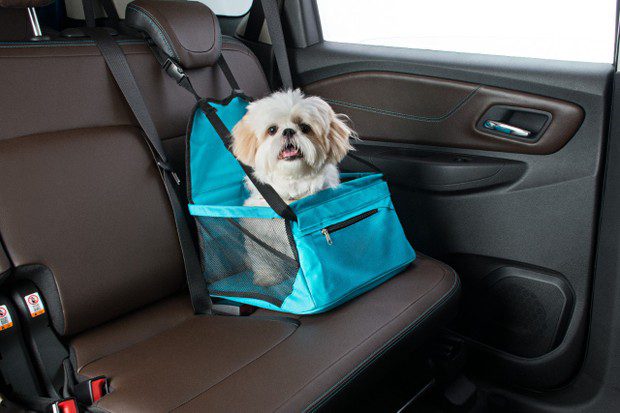 cadeirinha para transporte de pet